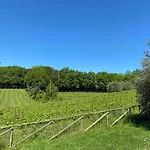 Lägenhet Borgo 7 Tigli - 1